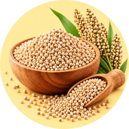 Jowar in a wooden bowl