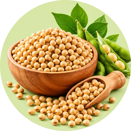 Soya in a wooden bowl